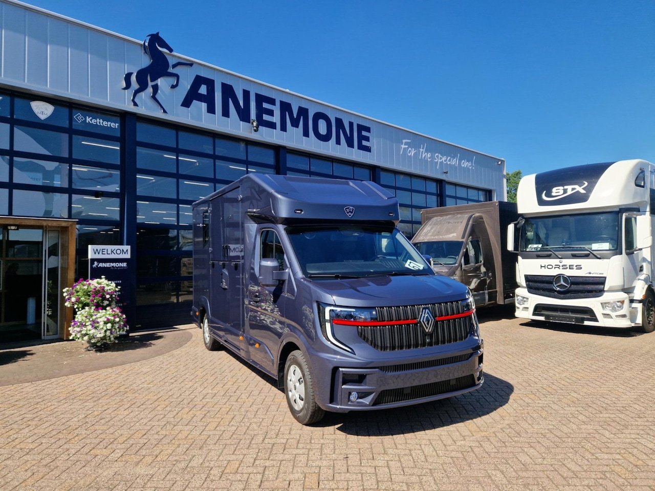 Renault Master Pro - MTM S3 EXCLUSIVE ! Nieuw model paardenwagen voor 2 paarden met een Pro-Safety hengsten uit - AutoWereld.nl