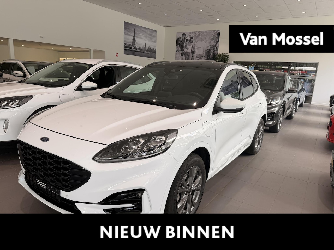 Ford Kuga - 2.5 PHEV ST-Line Panoramadak | AGR- Stoelen | Trekhaak | B&O | Elektr. Kofferbak - AutoWereld.nl