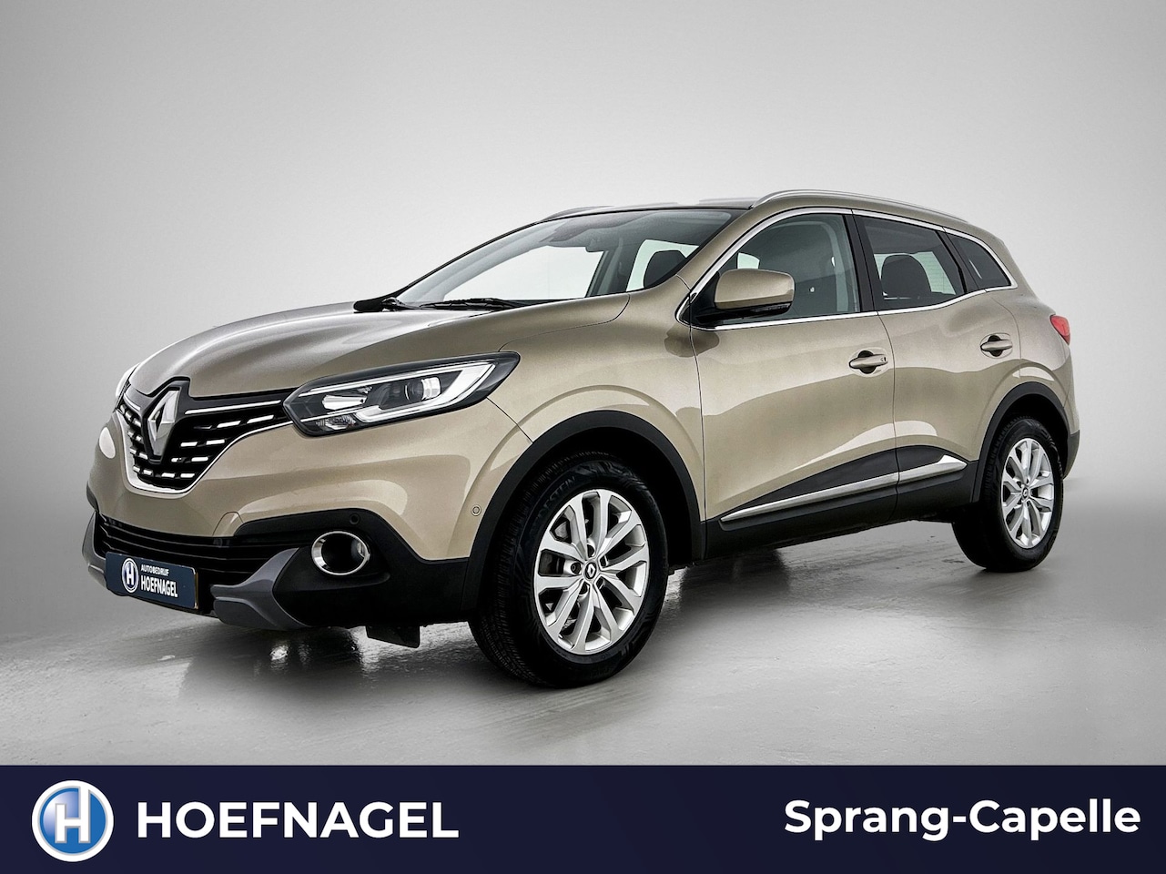 Renault Kadjar - 1.2 TCe Intens | Navi | Camera | Cruise Control | - AutoWereld.nl