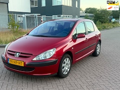 Peugeot 307 - 1.6-16V XS