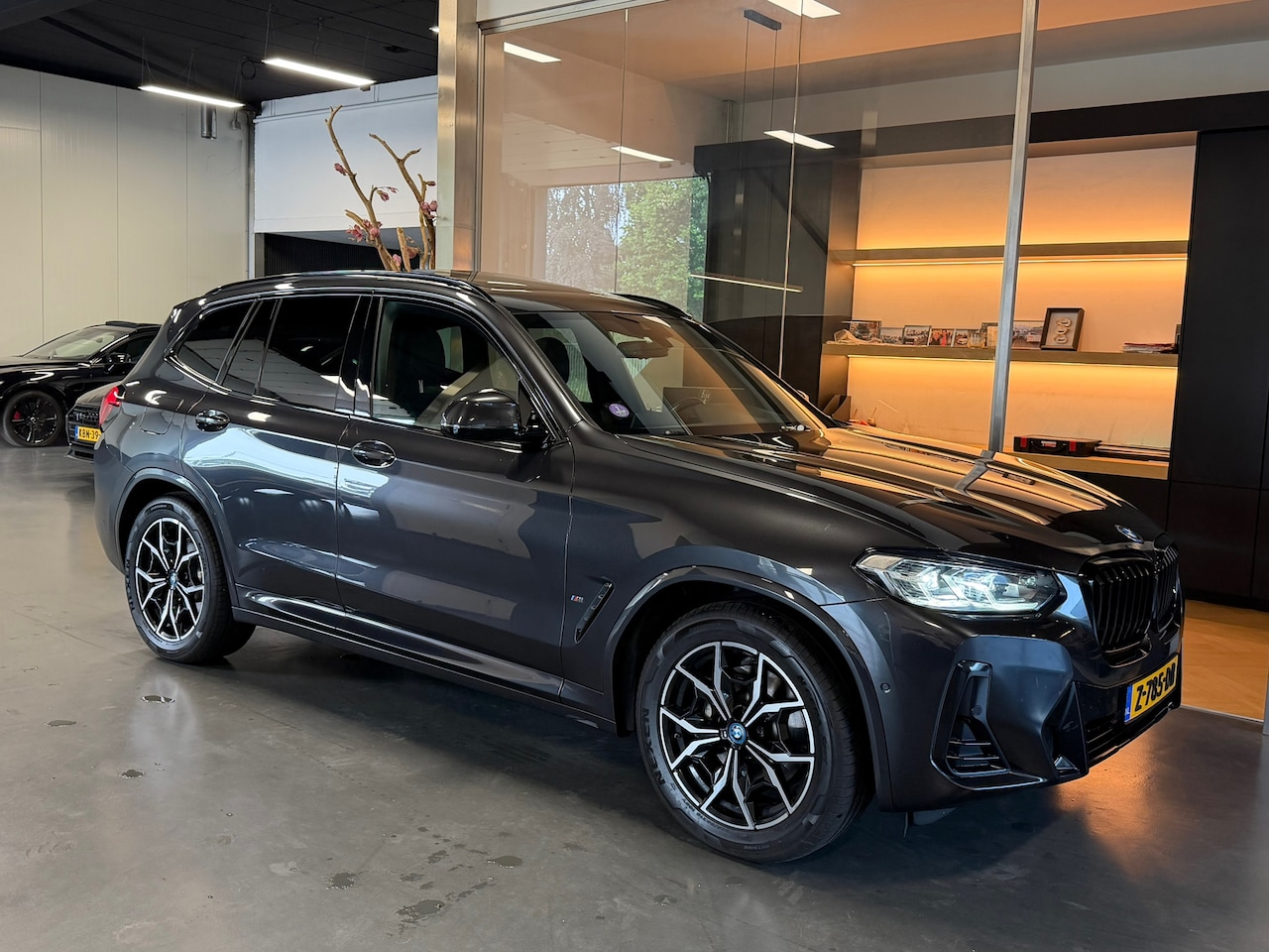 BMW X3 - XDrive30e M-Package Panorama Memory Camera - AutoWereld.nl