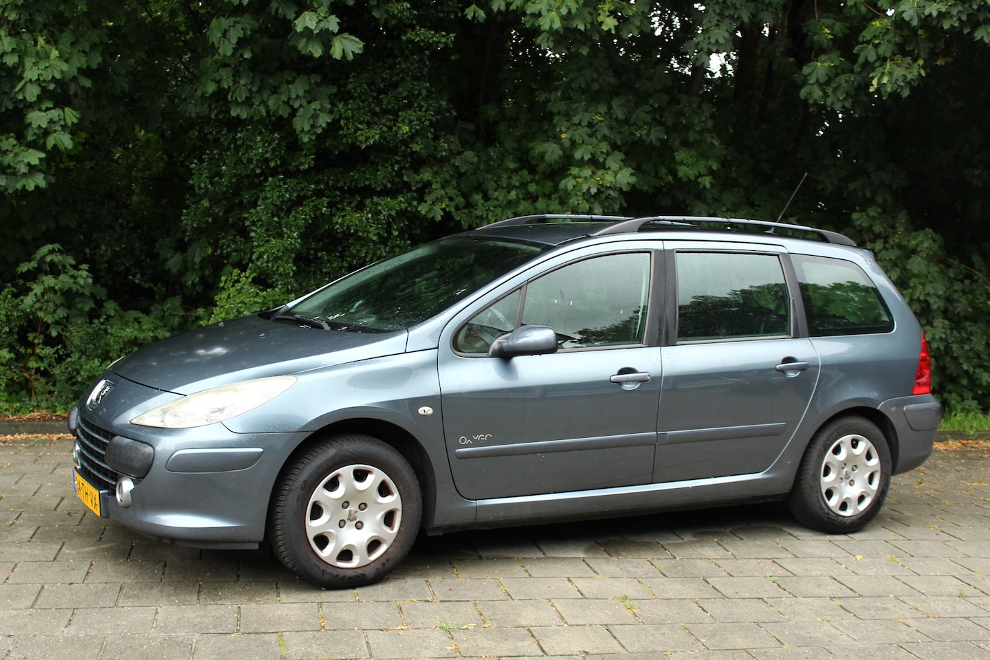 Peugeot 307 Break - 1.6-16V Oxygo cuise en climate control Leuke auto!!!! - AutoWereld.nl