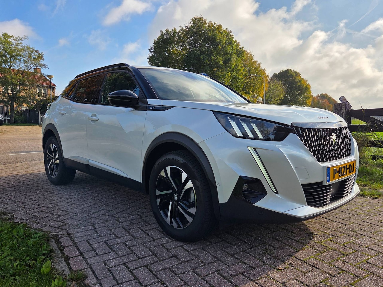 Peugeot 2008 - 1.2 Puretech 130pk GT-Line Virtueel Dashbord - AutoWereld.nl