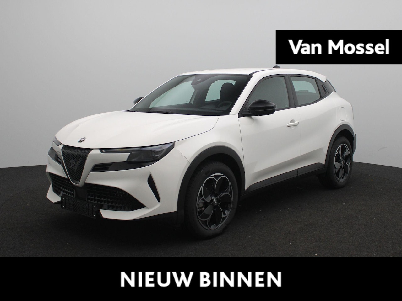 Alfa Romeo Junior - Elettrica 54 kWh | Direct Rijden | Apple Carplay & Android Auto | Parkeersensoren Achter | - AutoWereld.nl