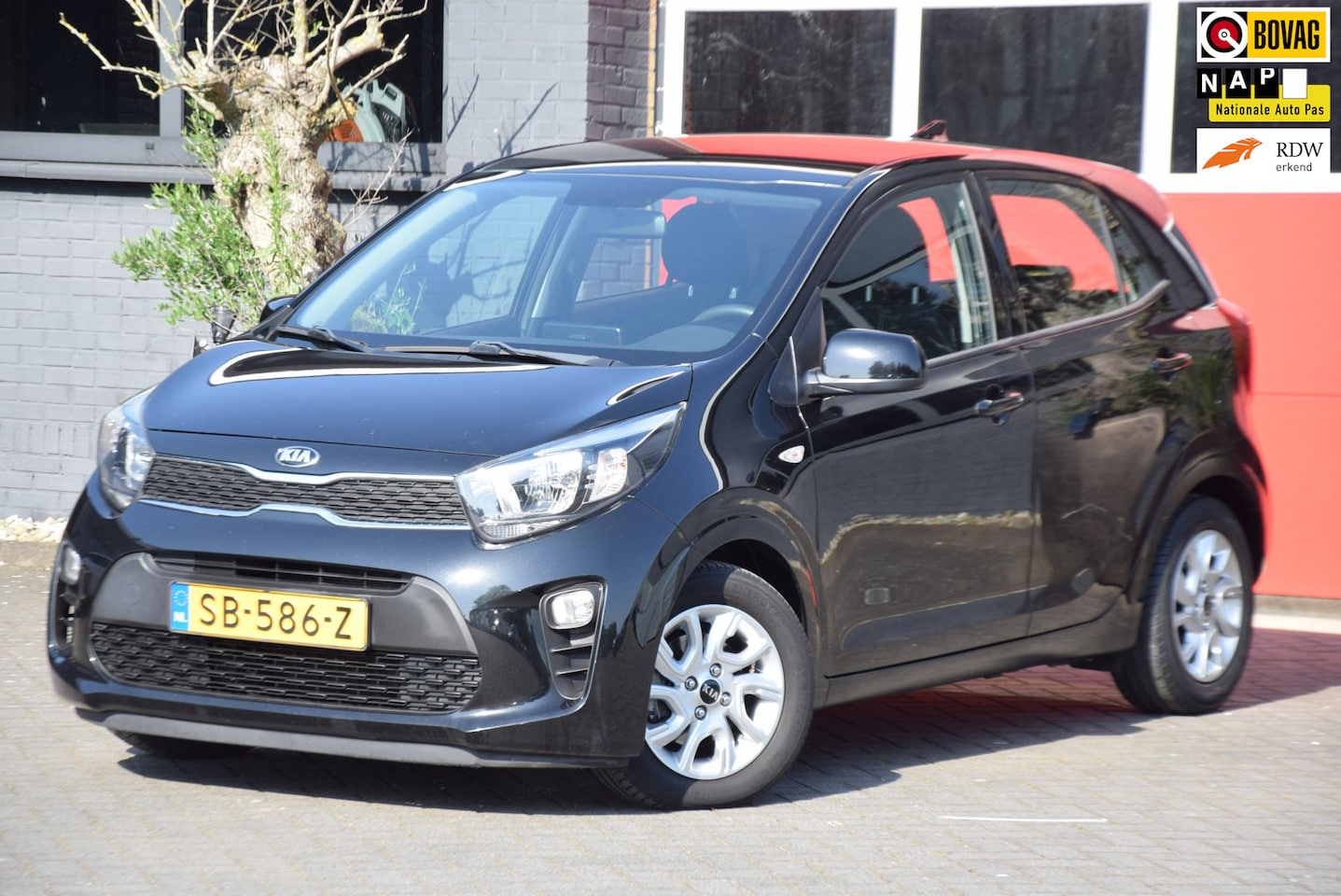 Kia Picanto - 1.0 CVVT ComfortPlusLine Navigator 2018 Carplay Airco - AutoWereld.nl