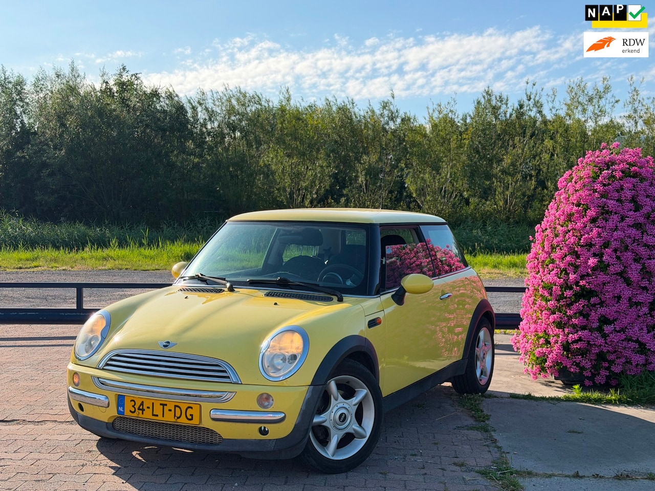 MINI 3-Deurs - 1.6 One Salt | Airco | Tweety - AutoWereld.nl