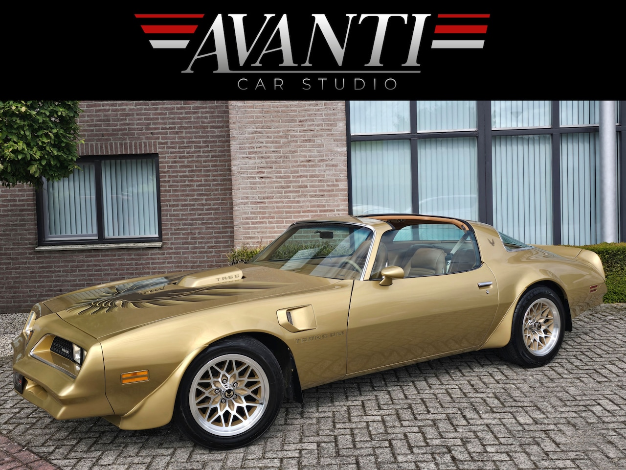 Pontiac Firebird - 6.6 FW 87 Trans Am Y88 GOLD SPECIAL EDITION V8 6.6 403 AUTOMAAT GEHEEL GERESTAUREERD EN GE - AutoWereld.nl