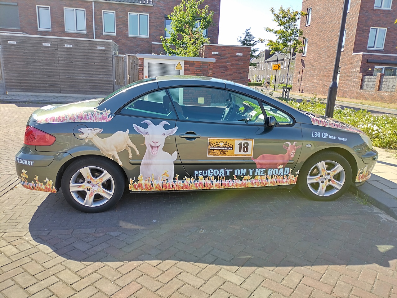 Peugeot 307 CC - 2.0-16V Peugeot 307 2.0 16V CC 2004 Grijs - Team PeuGaot - AutoWereld.nl