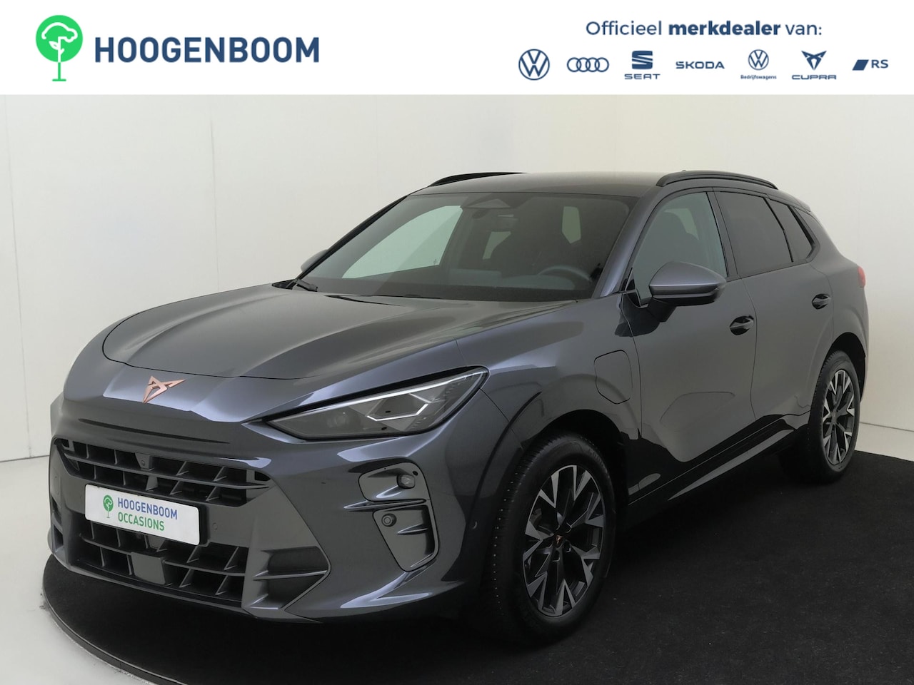 CUPRA Terramar - 1.5 TSI e-Hybrid Business | SoH 100% | Head-up display | 360 camera | Keyless | Adaptieve - AutoWereld.nl