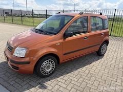 Fiat Panda - 1.2 Edizione Cool