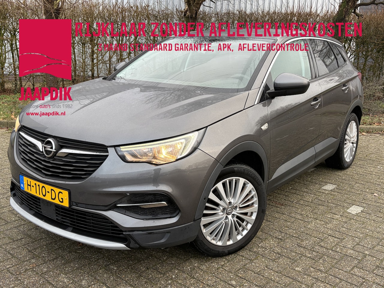 Opel Grandland X - BWJ 2020 1.2 131 PKTurbo Business Executive AUTOMAAT | TREKHAAK | CLIMA | CRUISE | CARPL - AutoWereld.nl
