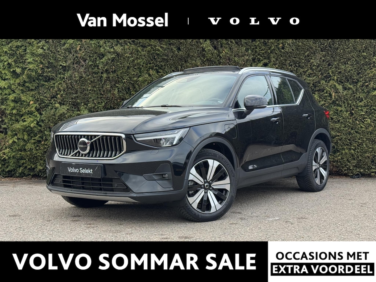 Volvo XC40 - T5 Recharge Inscription | Pilot assist | All- season | H&K Audio | Camera | Stuur + stoelv - AutoWereld.nl