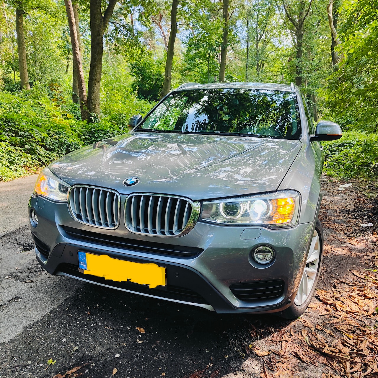 BMW X3 - 2.8i xDrive Centennial High Executive - AutoWereld.nl