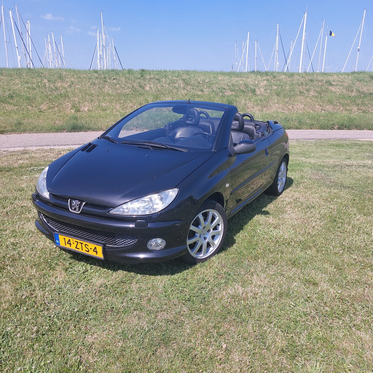 Peugeot 206 CC - 1.6-16V Roland Garros - AutoWereld.nl