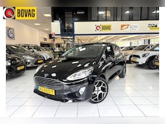 Ford Fiesta - 1.0 EcoB. Titanium Bovag Garantie Panoramadak