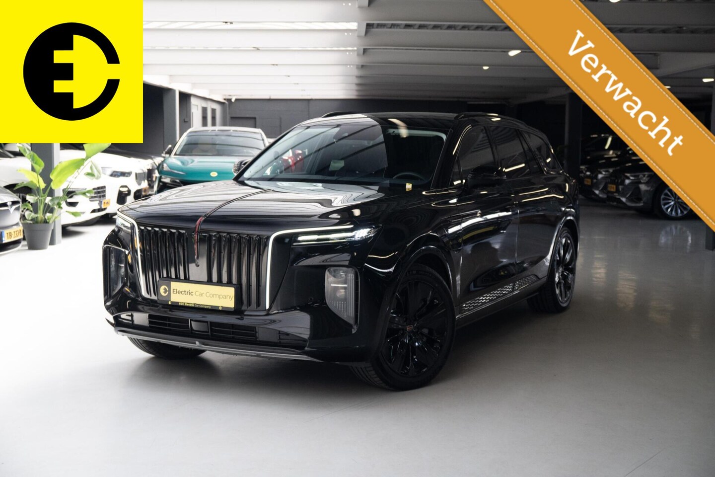 Hongqi E-HS9 - Exclusive | 112KWH | SOH 97,7% | Panorama dak | Incl.BTW - AutoWereld.nl