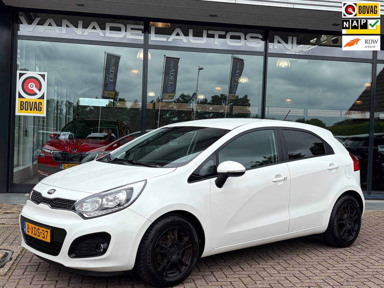 Kia Rio - 1.2 CVVT ExecutiveLine 5Drs Clima Cruise Park.Sens NL-Auto NAP! - AutoWereld.nl