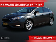 Ford Focus - 1.0 EcoBoost Lease Edition Business, Trekhaak, Donker glas, Clima, Pdc, Cruise, Telefoon,