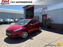 Ford Fiesta - 1.0 EcoBoost Titanium Clima, cruise, pdc achter, distributieriem is vervangen
