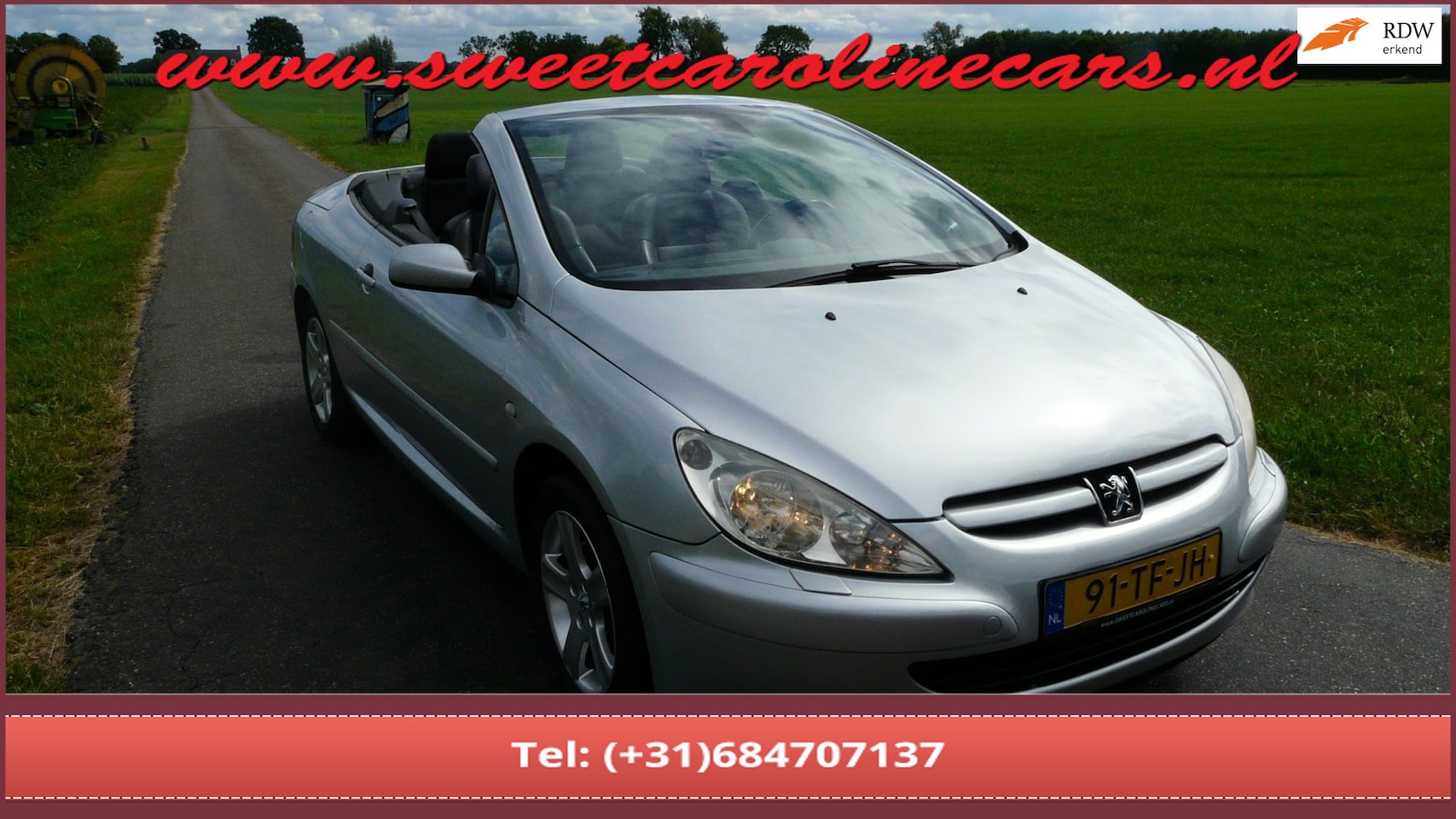 Peugeot 307 CC - 2.0-16V 2.0-16V,Airco,Leder,Elec.pakket,Lmv's! - AutoWereld.nl