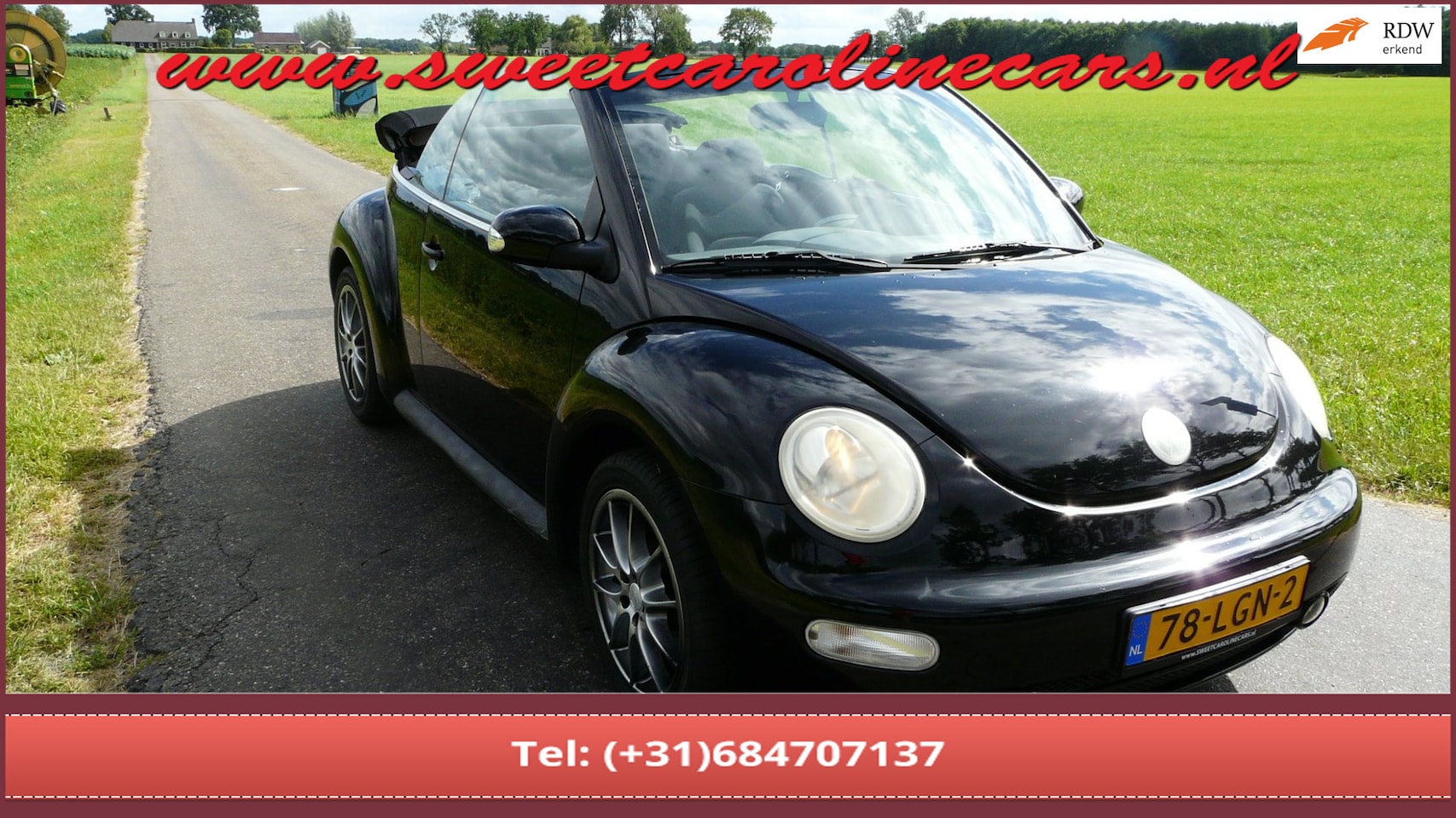 Volkswagen New Beetle Cabriolet - 1.4 Highline 1.4 Highline,Airco,Elec.pakket,Lmv's! - AutoWereld.nl
