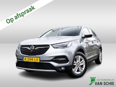 Opel Grandland X - 1.2 Turbo Business Elegance 1e-Eig. & Keurig-Onderh. BOVAG-Garantie. NL-Auto