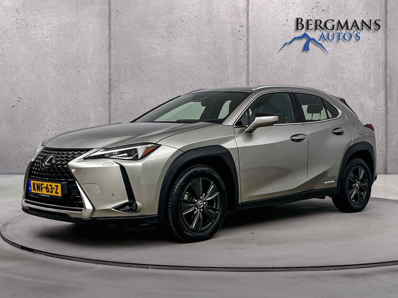 Lexus UX - - 250h Luxury Line // DEALERONDERHOUDEN // LEDER // - AutoWereld.nl