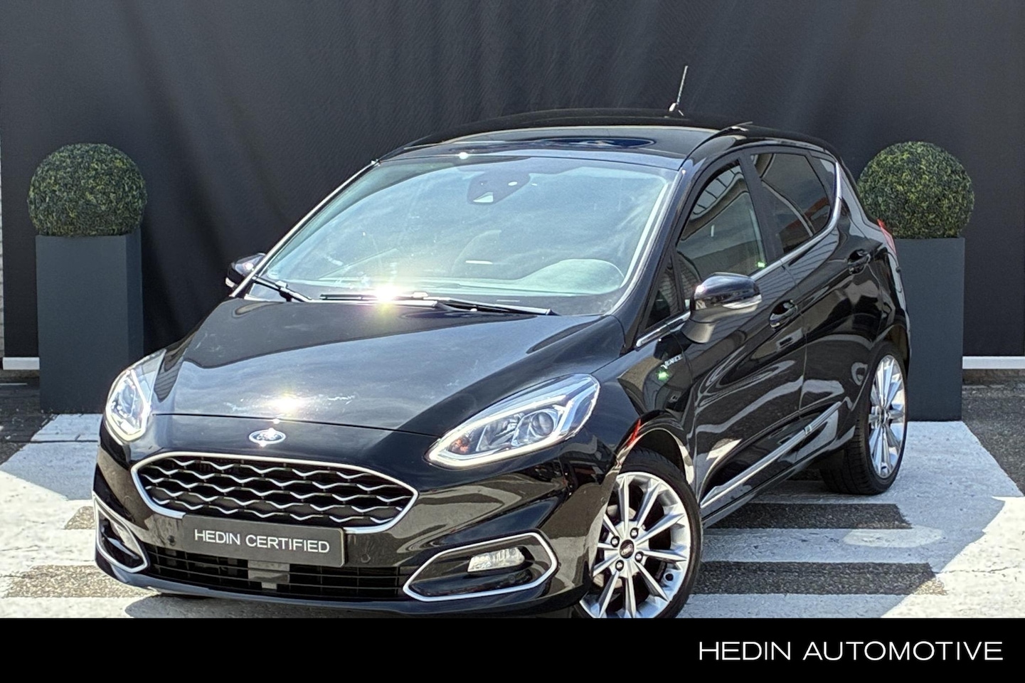 Ford Fiesta - 1.0 EcoBoost Vignale | Panoramadak | Winterpack | Camera - AutoWereld.nl