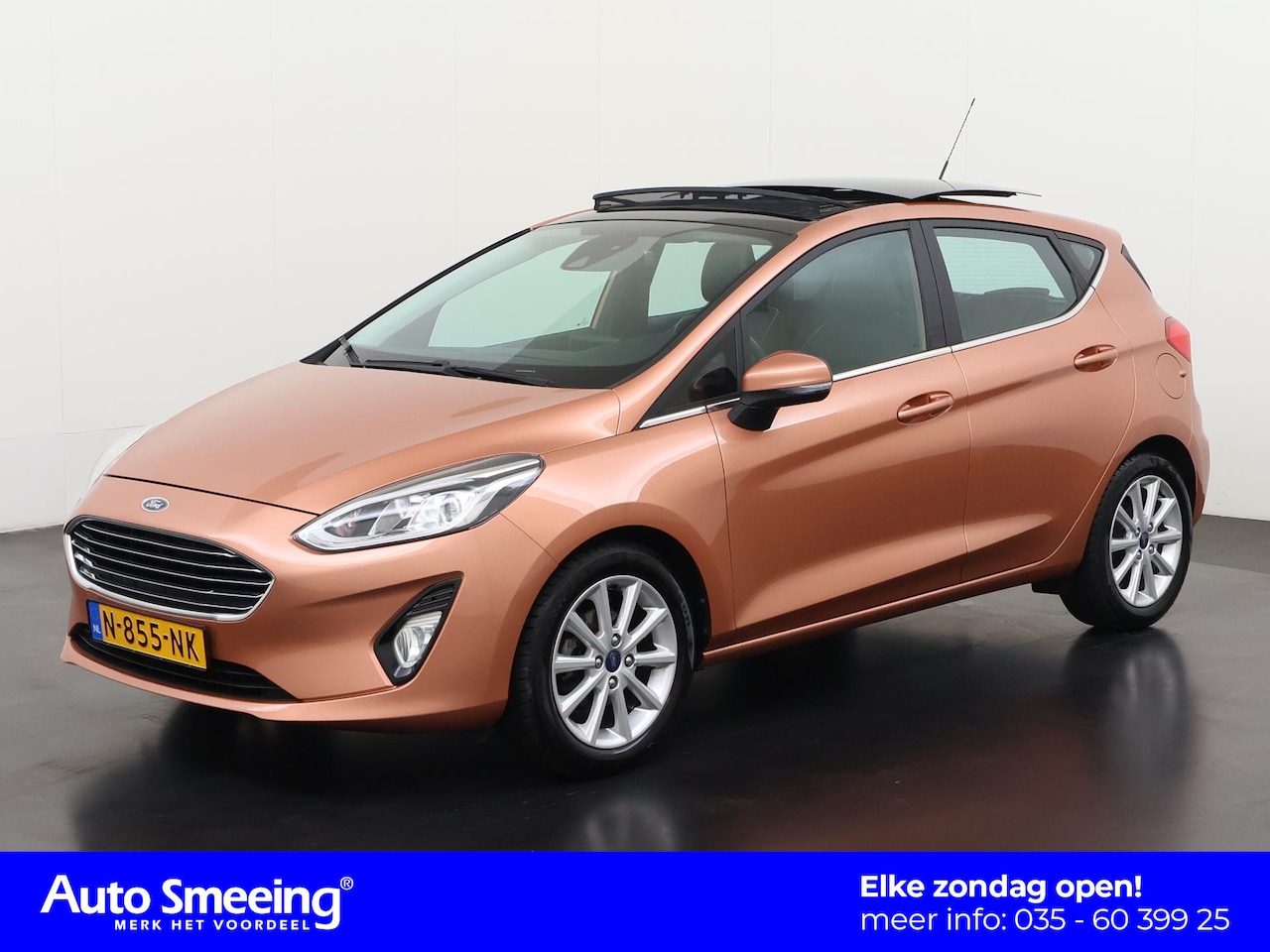 Ford Fiesta - 1.0 EcoBoost Titanium | Schuifdak | Bang & Olufsen | Navigatie | Zondag Open! - AutoWereld.nl