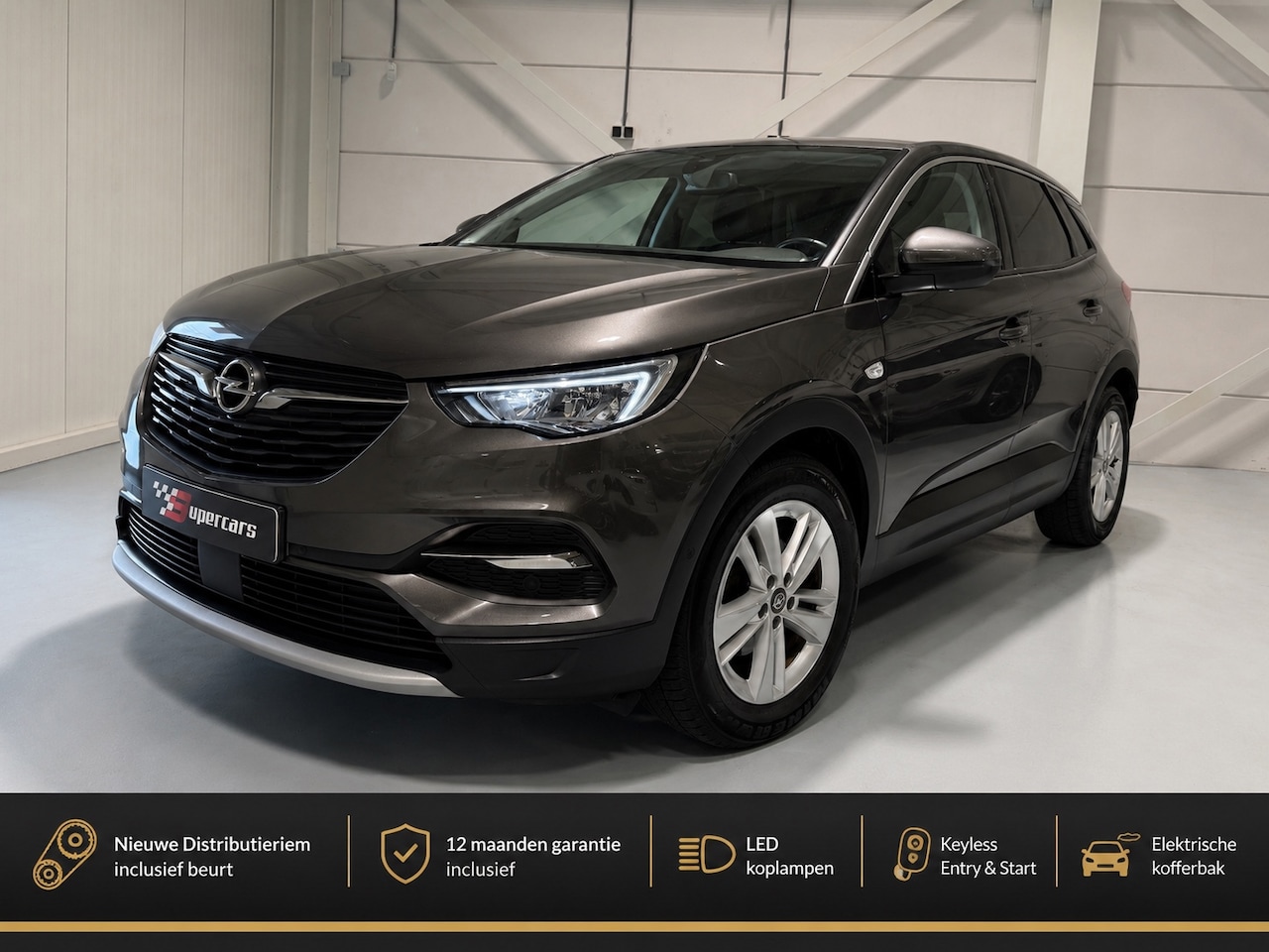 Opel Grandland X - 1.2 Turbo Business Executive Automaat |Distri. VV|Carplay|Trekhaak| - AutoWereld.nl