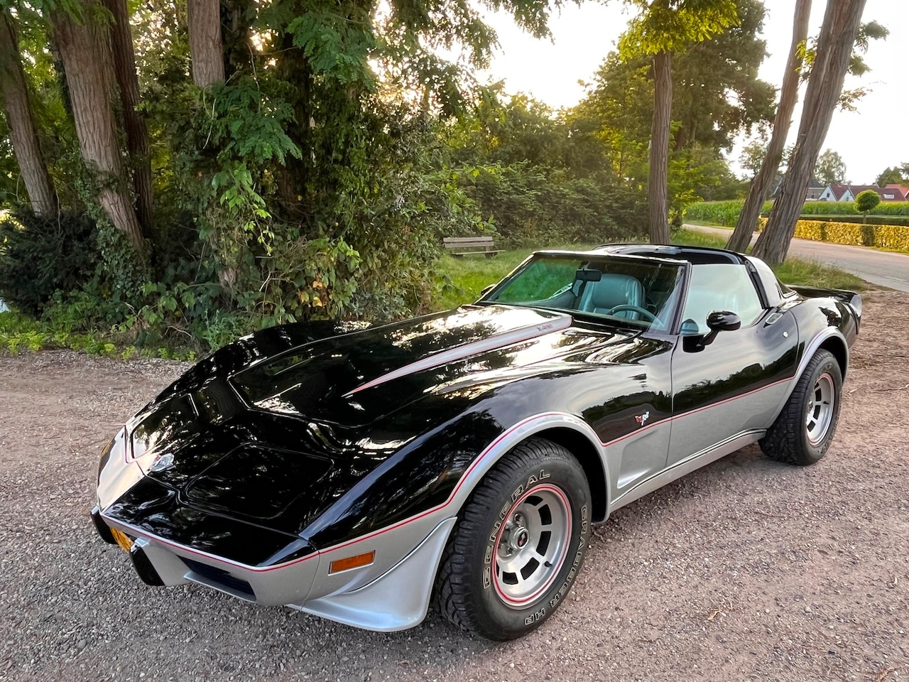 Chevrolet Corvette - USA C3 collector - AutoWereld.nl