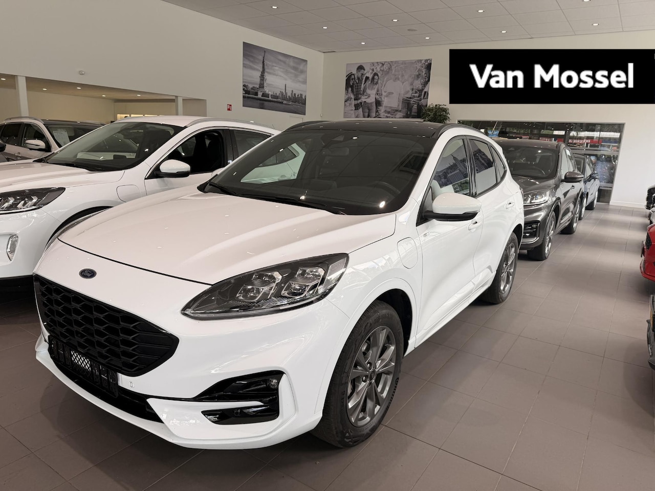 Ford Kuga - 2.5 PHEV ST-Line Panoramadak | AGR- Stoelen | Trekhaak | B&O | Elektr. Kofferbak - AutoWereld.nl