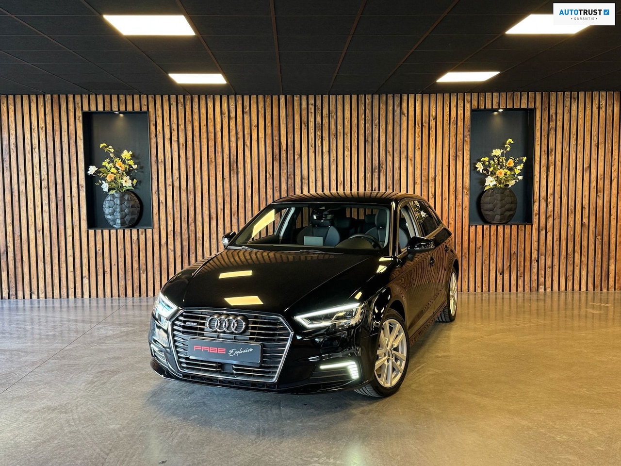 Audi A3 Sportback - 40 e-tron Advance Sport l Virtual l Stoel verwarming l Led l Navi - AutoWereld.nl