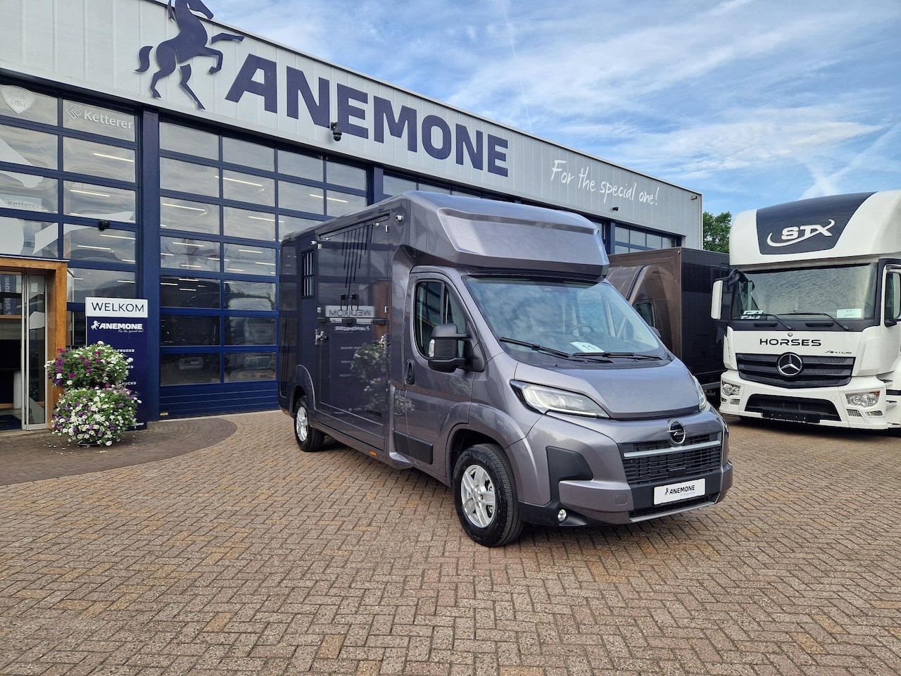 Opel Movano - AKX S3 nieuw paardenwagen Automaat Pro-safety hengsten uitvoering id:11 - AutoWereld.nl