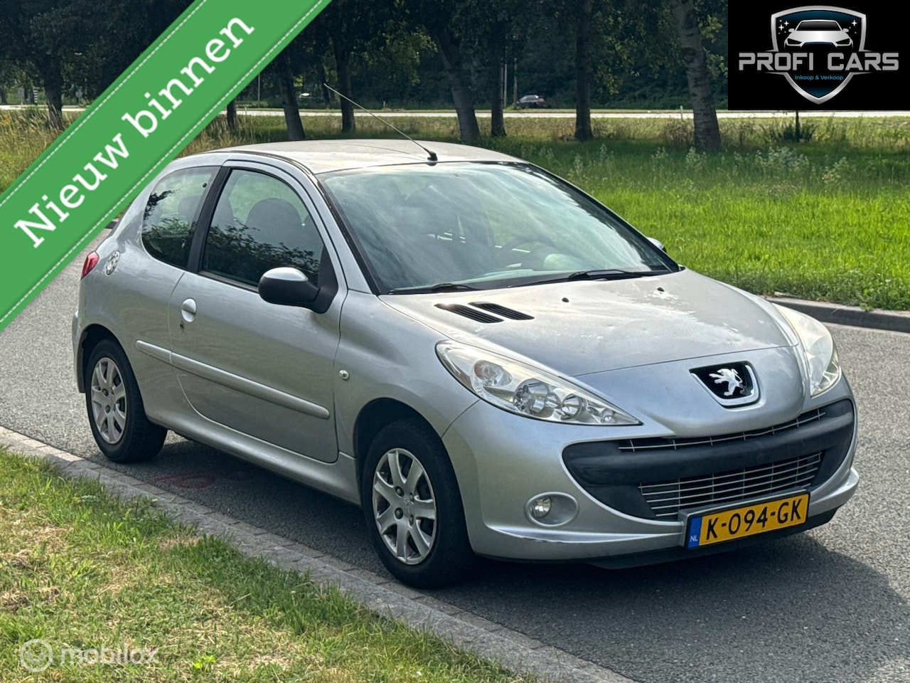 Peugeot 206 - 1.1 XR LPG Airco Elektrische ramen - AutoWereld.nl
