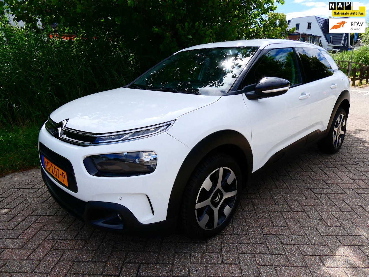 Citroën C4 Cactus - 1.2i Shine 110pk 1e eig. Clima Navi Carplay PDC LED - AutoWereld.nl
