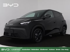 BYD Dolphin Surf - Boost 43 kWh Direct uit voorraad leverbaar