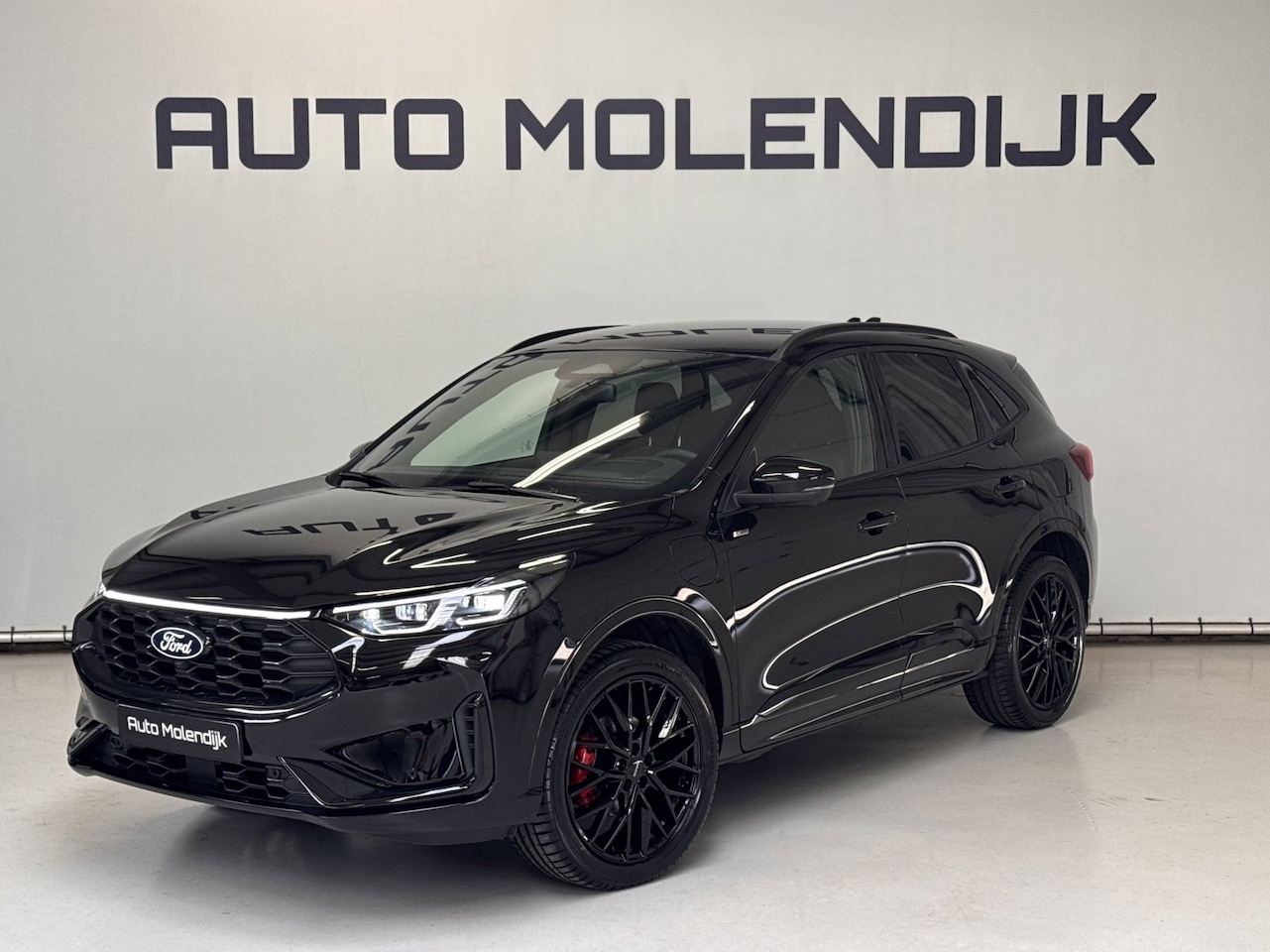 Ford Kuga - 2.5 PHEV ST-Line X Black / Alcant. / B&O / el klep / 360 cam / HuD / fabr. gar. - AutoWereld.nl