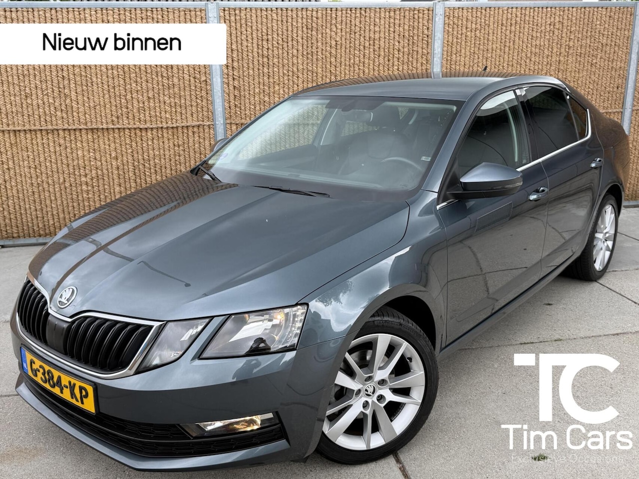 Skoda Octavia - 1.0 TSI Greentech Business Edition Stoelverwarming | Half leer/stof | Climate control | Cr - AutoWereld.nl