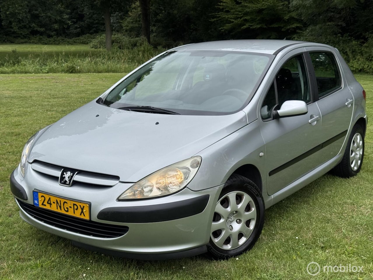 Peugeot 307 - 1.6 - AutoWereld.nl