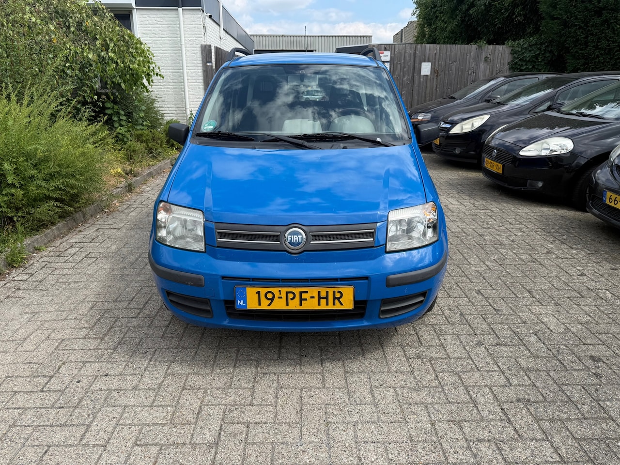 Fiat Panda - 1.2 Dynamic 1.2 Dynamic - AutoWereld.nl