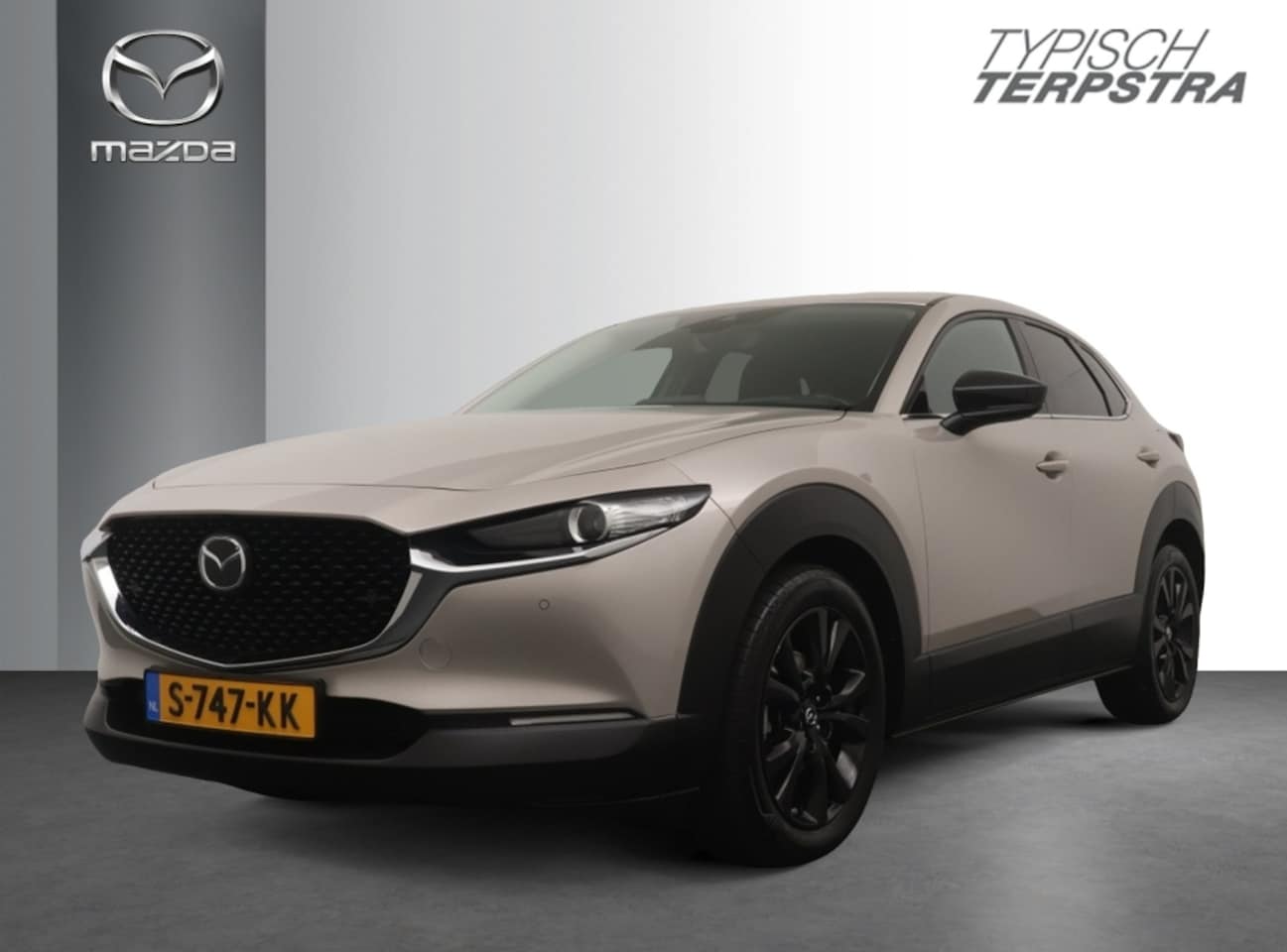 Mazda CX-30 - e-Skyactiv X 186 Homura / Trekhaak - AutoWereld.nl