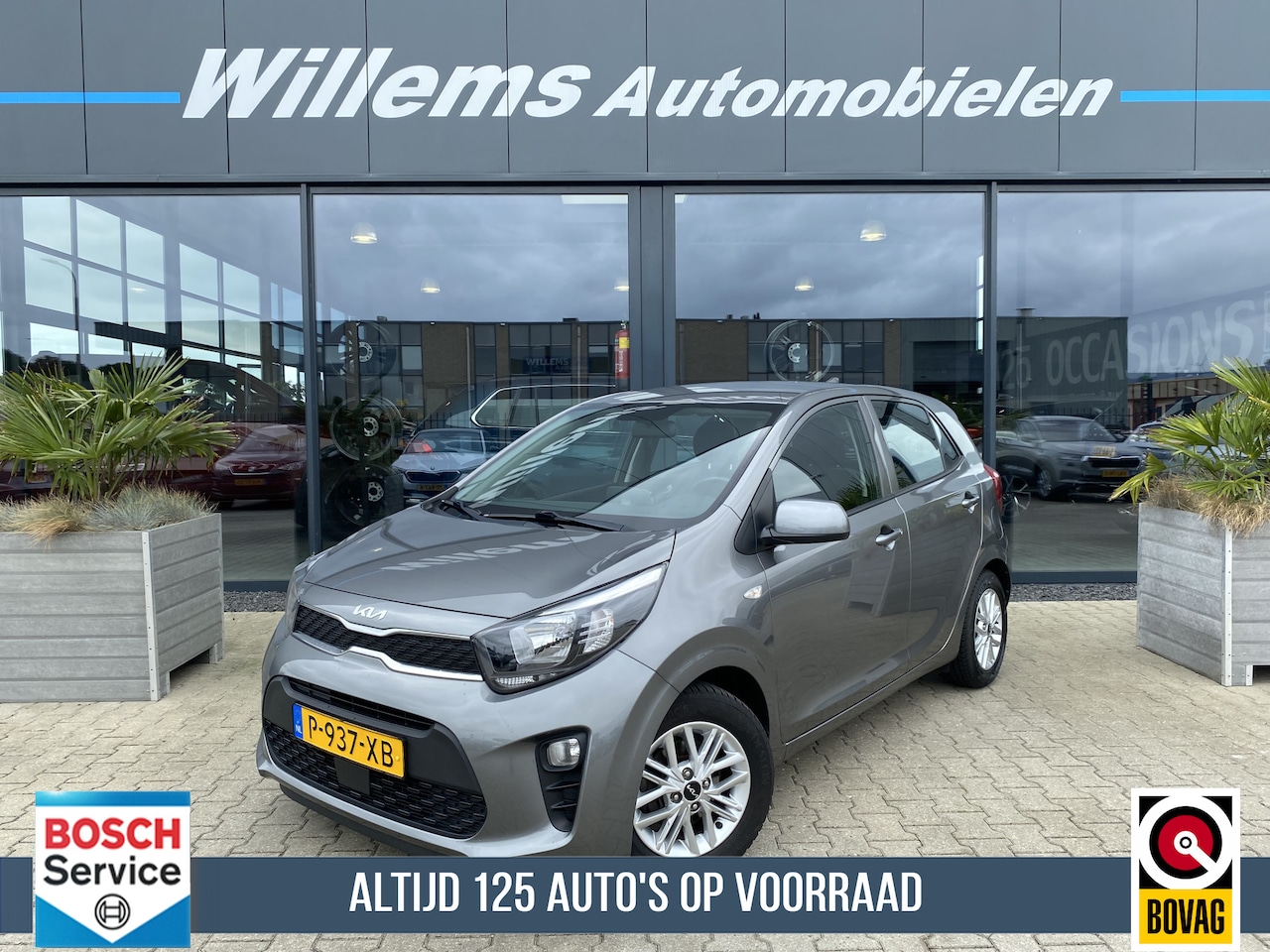 Kia Picanto - 1.0 DPi DynamicLine Cruise Control, Airco & Camera - AutoWereld.nl