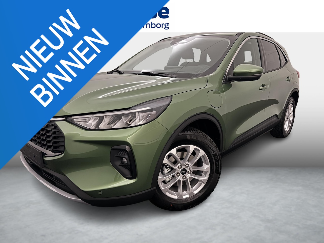 Ford Kuga - 2.5 PHEV Titanium 2.5 PHEV Titanium - AutoWereld.nl