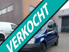 Fiat Panda - 1.2 Edizione Cool