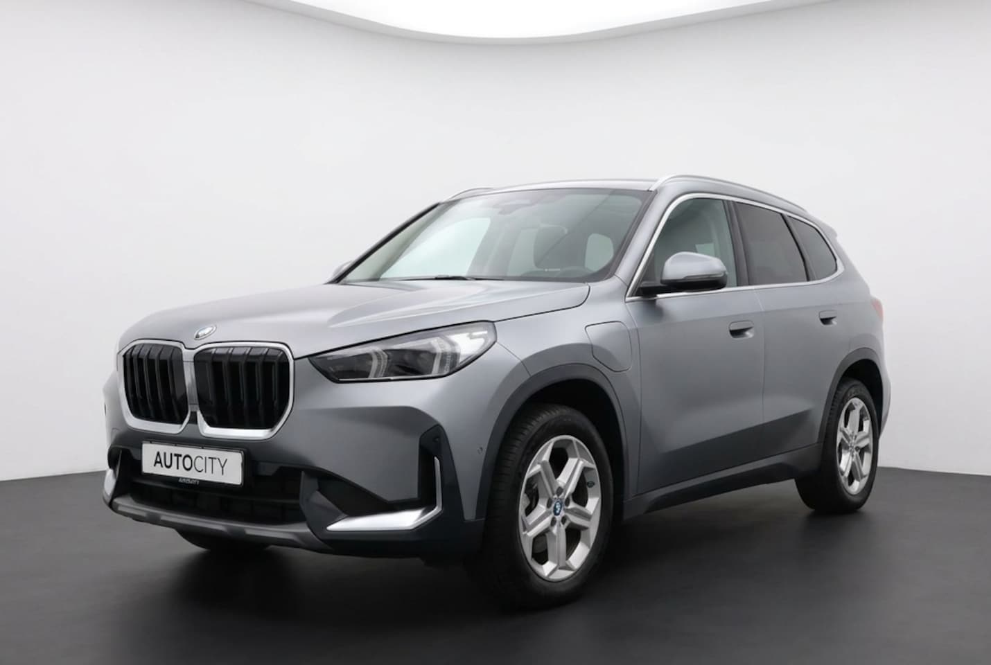 BMW X1 - 25 e xDrive Frozen Grey l Pano l Trekhaak l HK l Leder l 360° - AutoWereld.nl