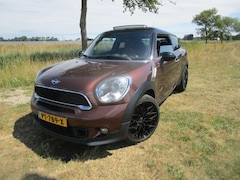 MINI Paceman - 1.6 Cooper S ALL4 Chili, Vol opties
