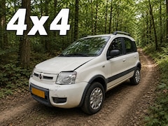 Fiat Panda - 1.2 Climbing 4x4