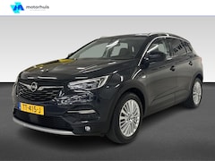Opel Grandland X - 1.2 Turbo Business Executive | Apple Carplay/Android Auto|telefoonintegratie premium | Cru