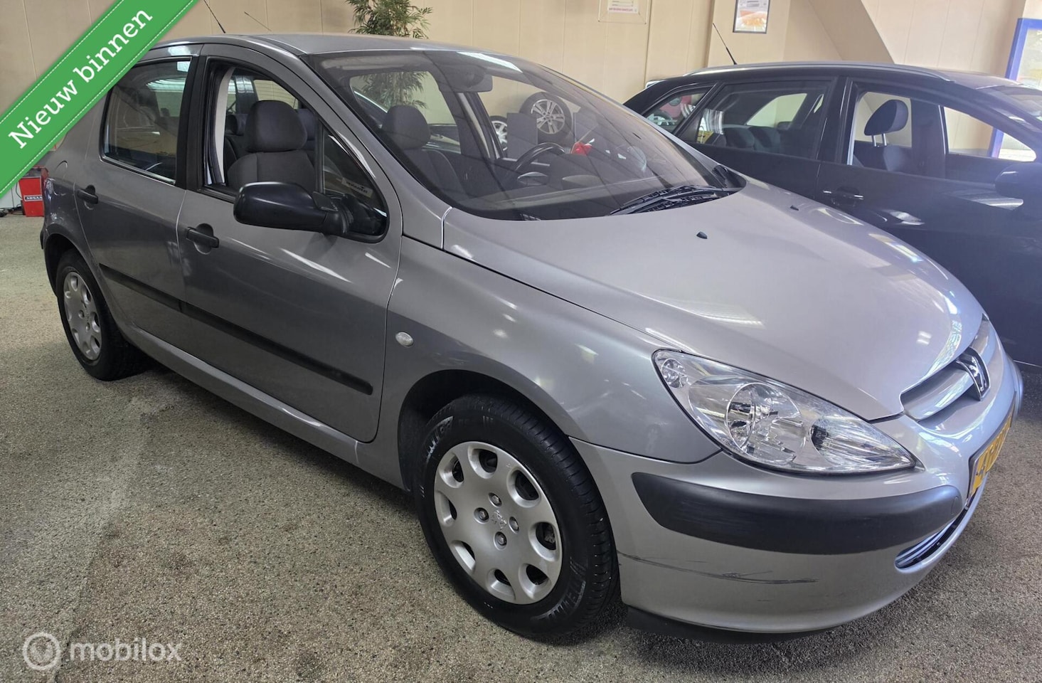 Peugeot 307 - 1.6-16V XR APK tot 2-2027 - AutoWereld.nl